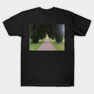 A silent forest T-Shirt